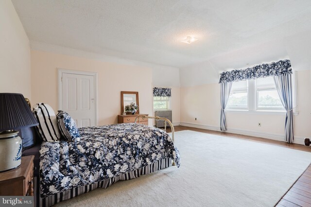 bedroom featuring hardwood / wood-style floors and a textured ceiling