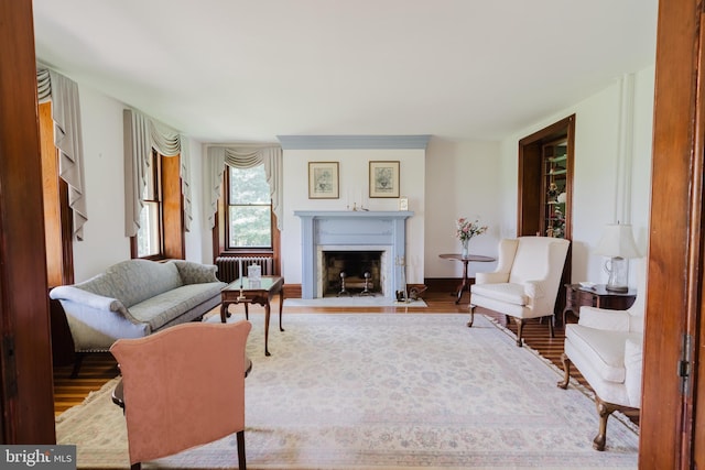 living room with radiator and hardwood / wood-style flooring