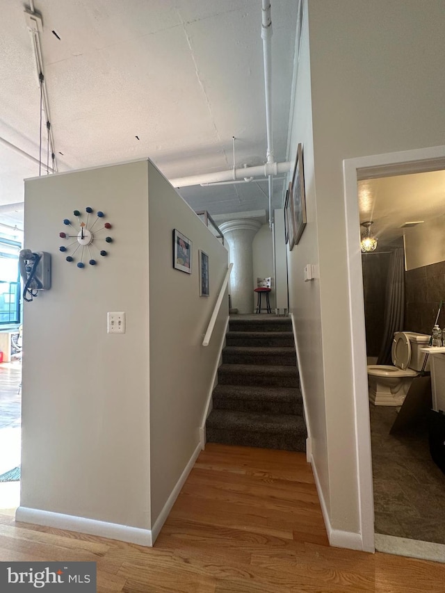 staircase with hardwood / wood-style flooring