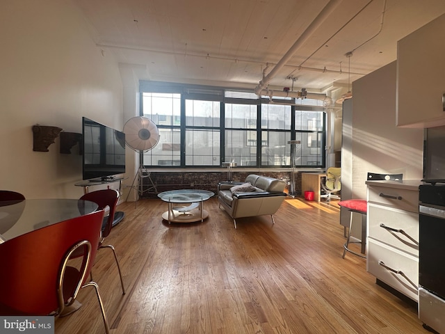 living room with light hardwood / wood-style flooring