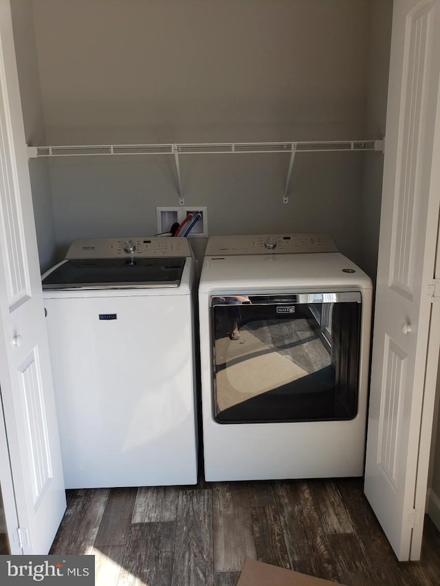 washroom featuring independent washer and dryer and dark hardwood / wood-style floors