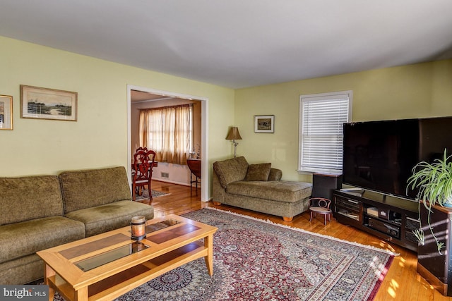 living room with hardwood / wood-style flooring