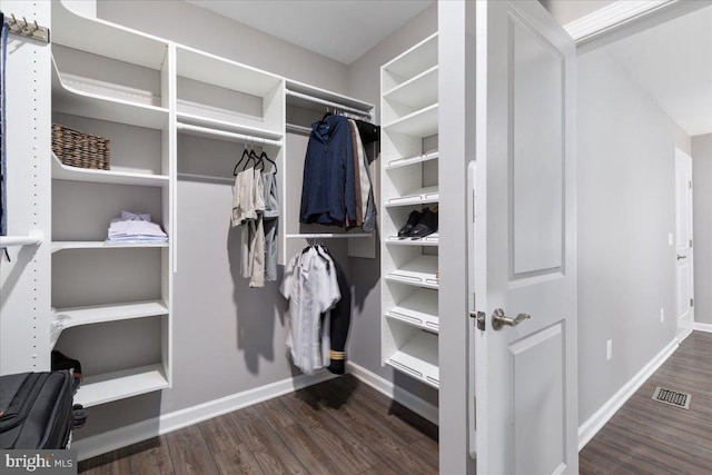 walk in closet featuring dark wood-type flooring