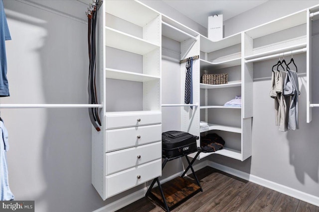 walk in closet featuring dark wood-type flooring