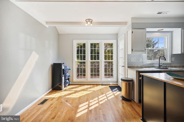 kitchen with tasteful backsplash, light hardwood / wood-style flooring, and a wealth of natural light