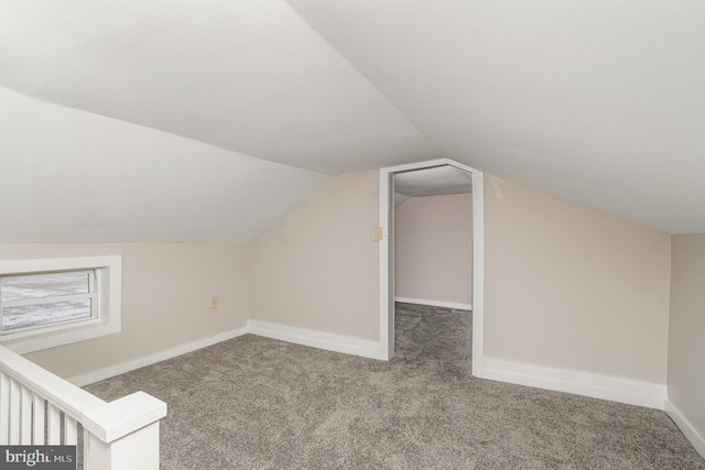 bonus room featuring baseboards, carpet floors, and vaulted ceiling