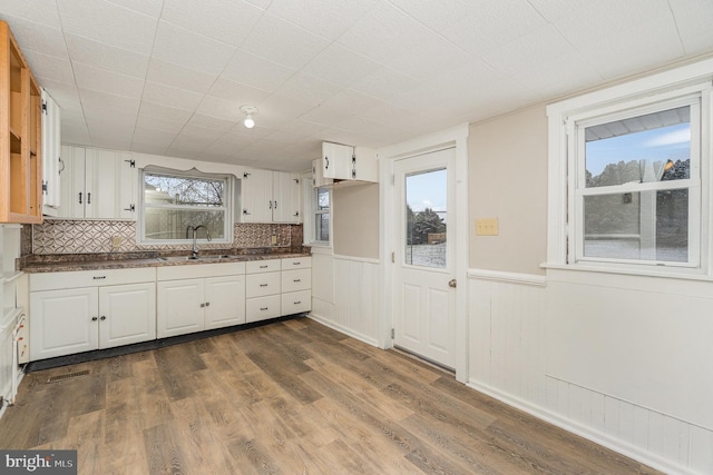 kitchen with white cabinets, dark wood-style floors, and a sink