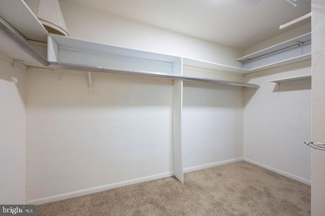 6711 Park Heights Ave Unit 207, Baltimore, MD 21215 - walk in closet featuring carpet