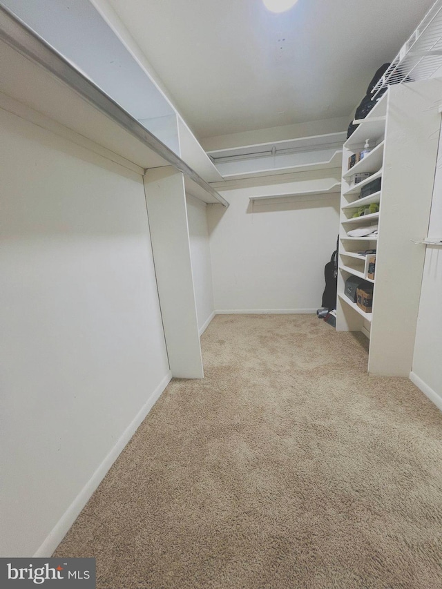 6711 Park Heights Ave Unit 207, Baltimore, MD 21215 - walk in closet featuring carpet flooring