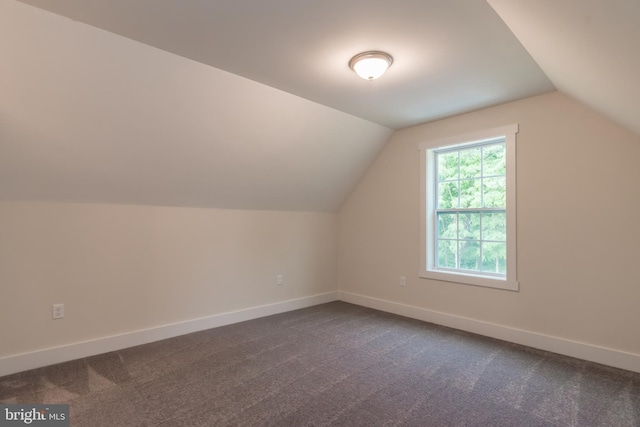 bonus room with carpet floors and vaulted ceiling