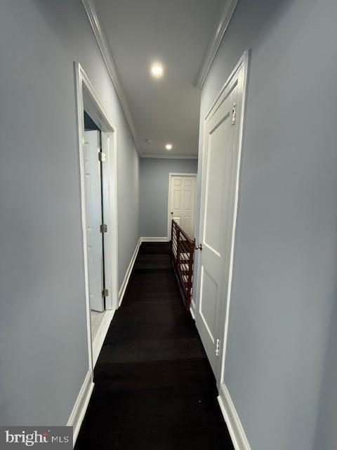 corridor featuring crown molding and dark wood-type flooring