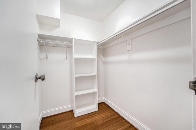 spacious closet with hardwood / wood-style flooring