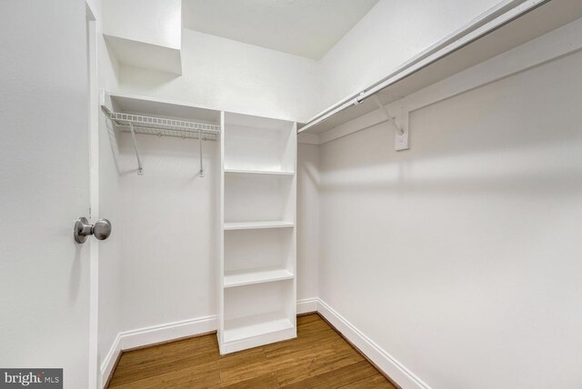 spacious closet featuring wood-type flooring