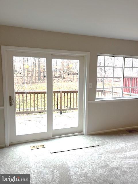 entryway with carpet flooring and a wealth of natural light