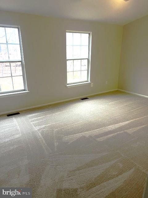 carpeted spare room featuring plenty of natural light