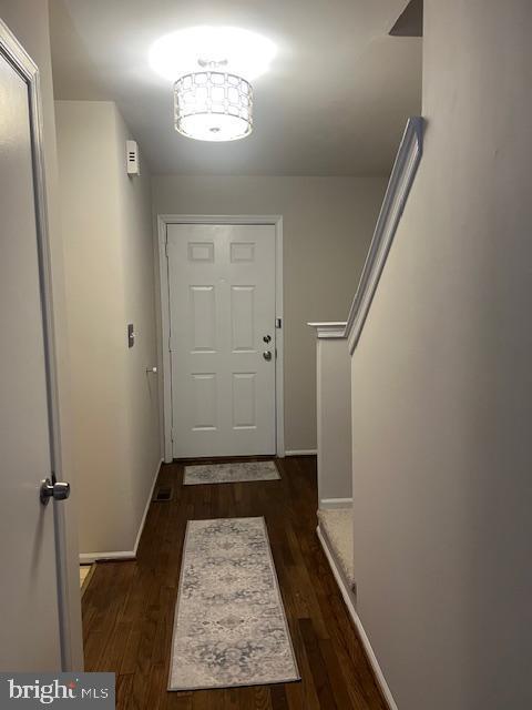 doorway featuring dark wood-type flooring