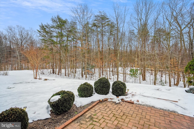 view of yard layered in snow