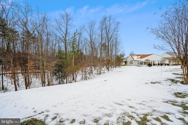 view of yard covered in snow