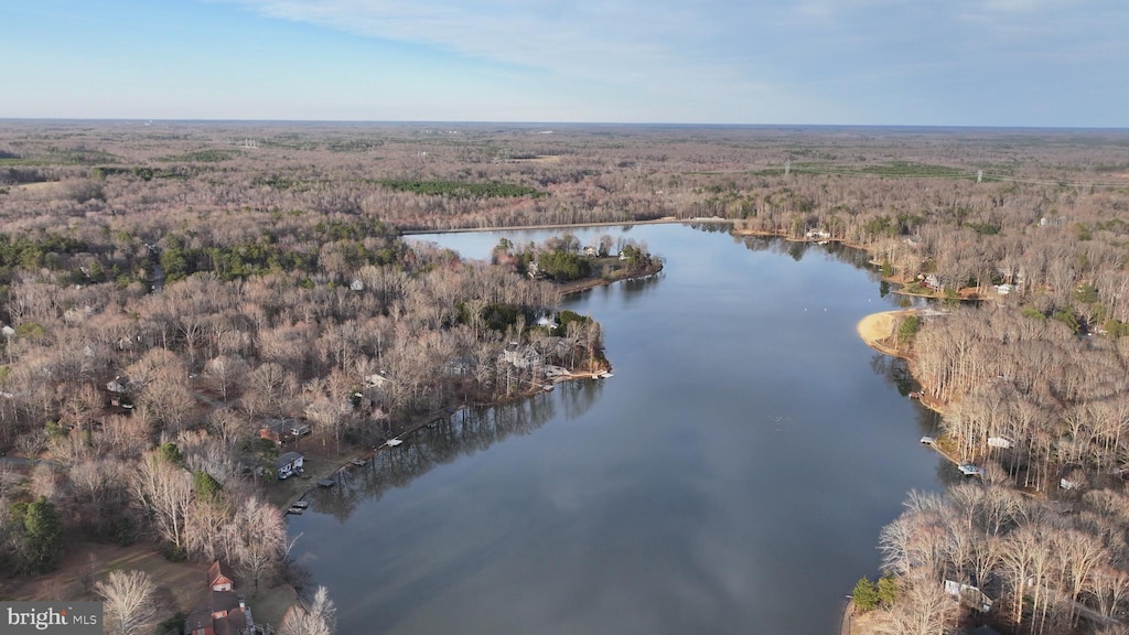 drone / aerial view featuring a view of trees and a water view