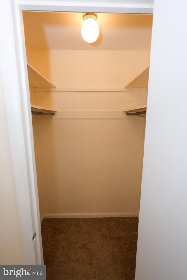 spacious closet featuring dark carpet