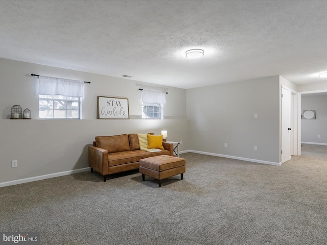 carpeted living room with a textured ceiling and a wealth of natural light