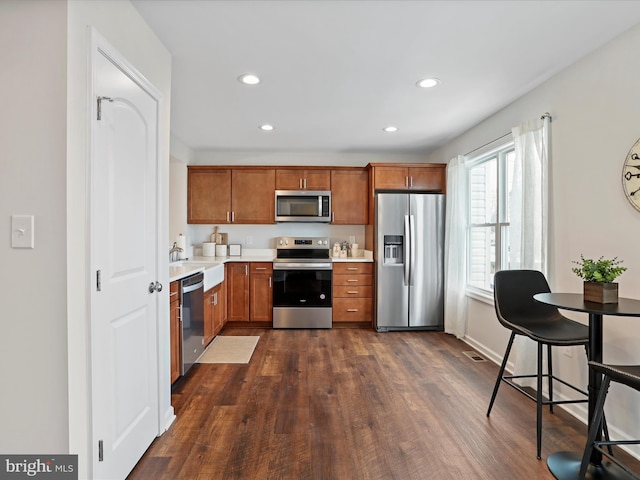 kitchen with appliances with stainless steel finishes, dark hardwood / wood-style flooring, and sink