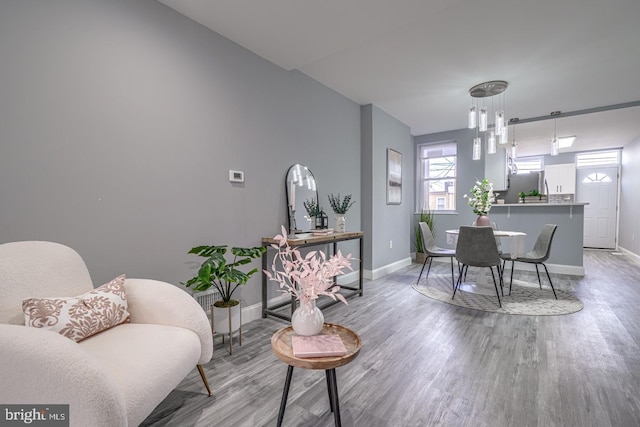 dining room with hardwood / wood-style flooring