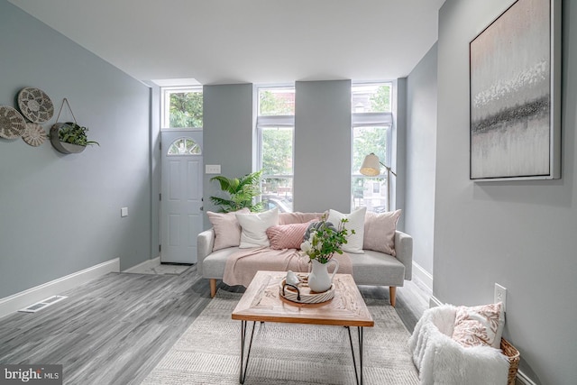 living room with expansive windows and light hardwood / wood-style floors