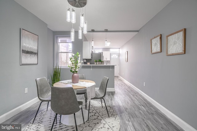 dining area with hardwood / wood-style flooring