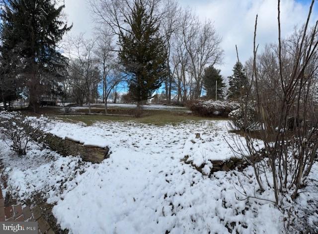 view of yard layered in snow