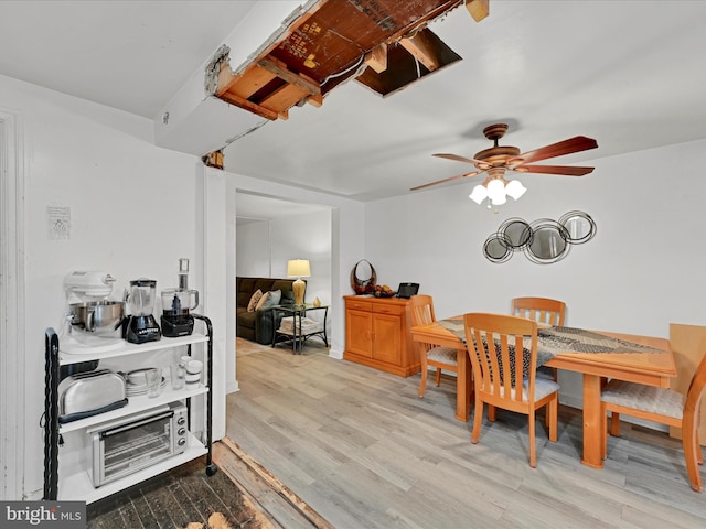 dining room featuring ceiling fan and light hardwood / wood-style flooring