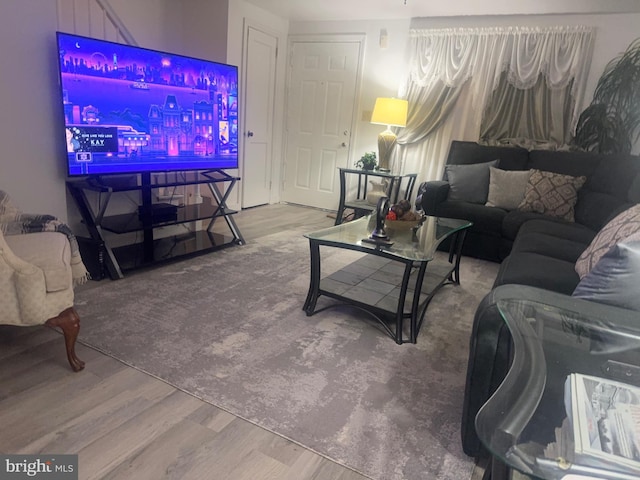 living room featuring wood-type flooring