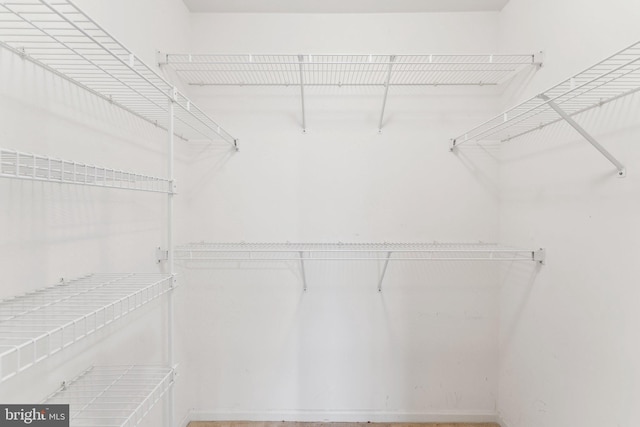 view of spacious closet