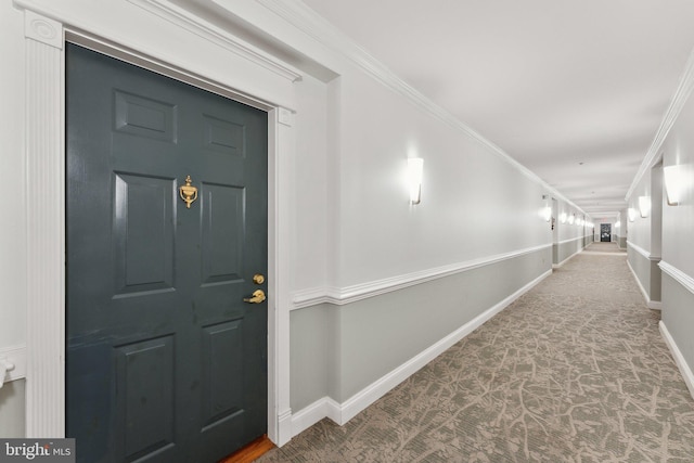 interior space with ornamental molding and carpet floors