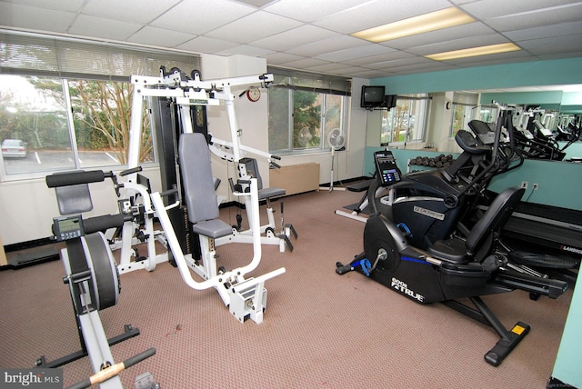 workout area featuring carpet flooring, plenty of natural light, and a drop ceiling