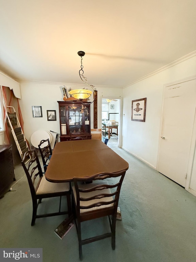 dining area featuring carpet and crown molding