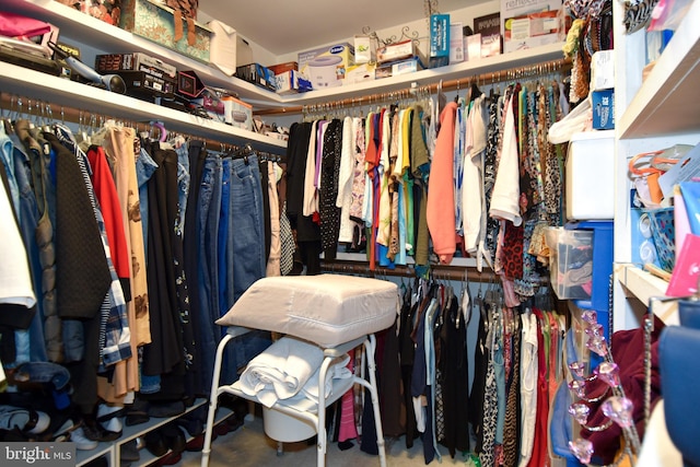 view of spacious closet