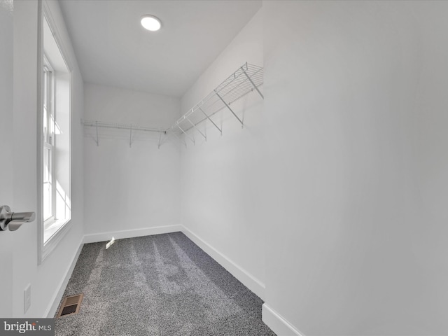 spacious closet with carpet floors