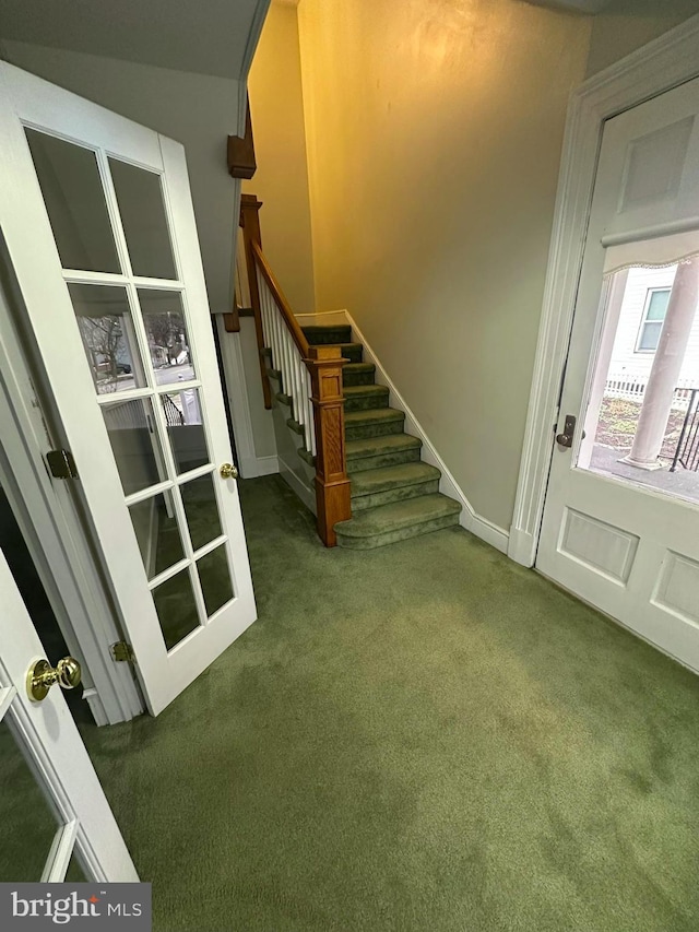 stairway featuring carpet floors