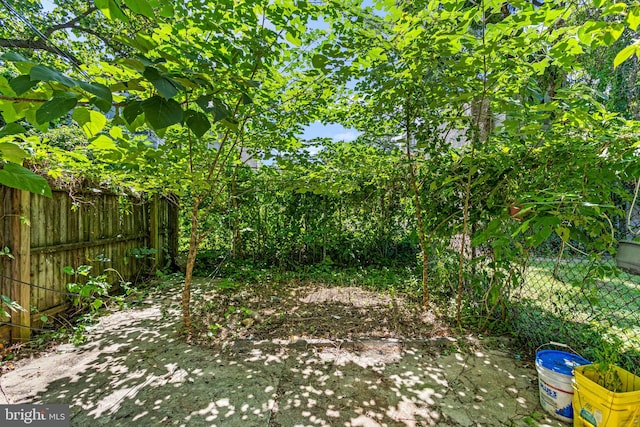 view of yard with a patio area