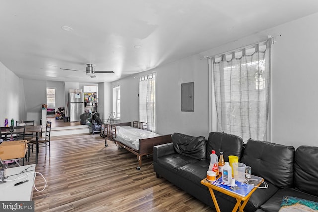 living room featuring ceiling fan, a healthy amount of sunlight, wood-type flooring, and electric panel