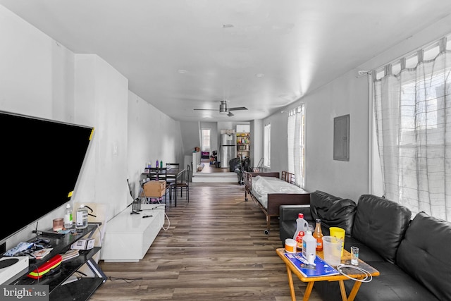 living room with hardwood / wood-style floors, electric panel, and ceiling fan