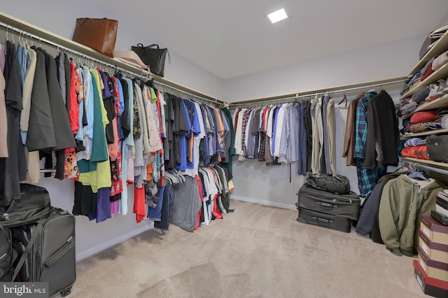 walk in closet featuring light carpet