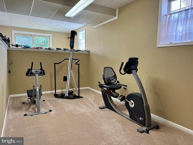 exercise room with carpet and a drop ceiling