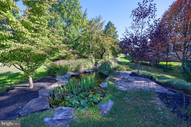 view of yard with a patio area