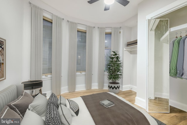 interior space featuring ceiling fan and wood-type flooring