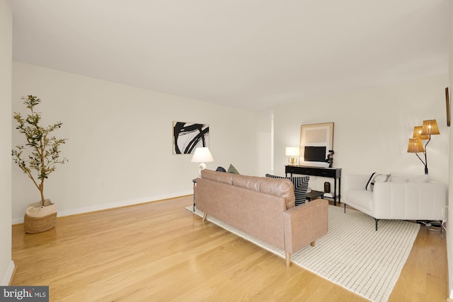 living room featuring light wood-type flooring