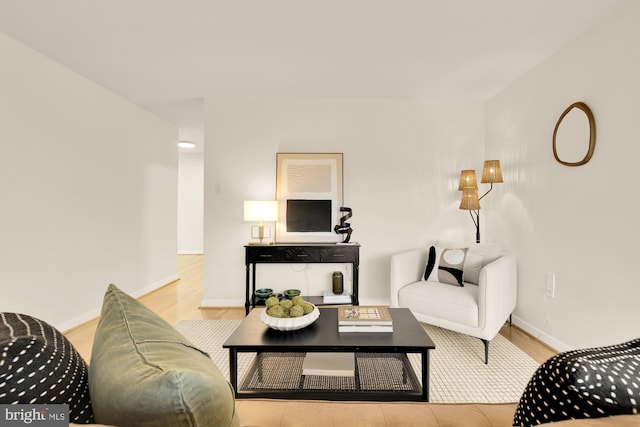 living room with light wood-type flooring