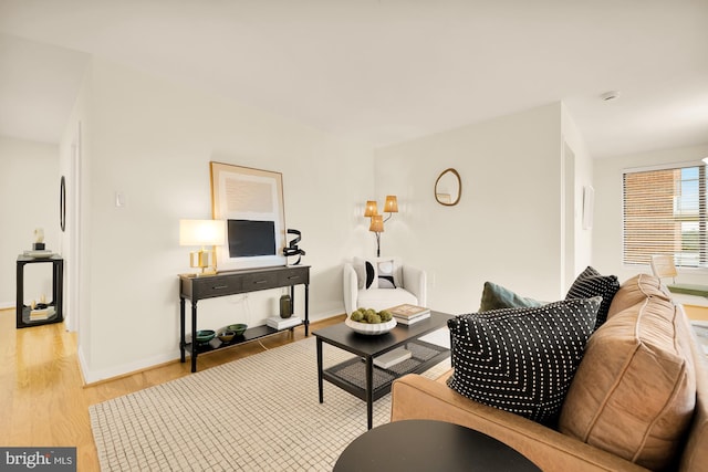 living room with light wood-type flooring