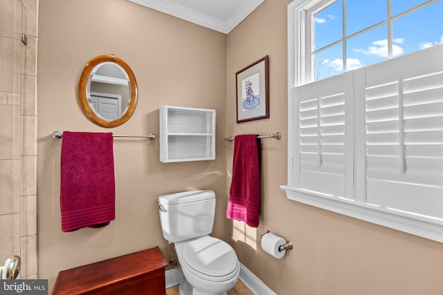 bathroom with toilet and crown molding